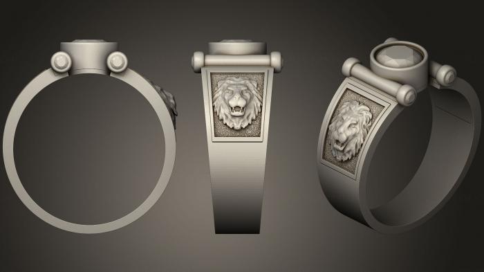 Jewelry rings (JVLRP_0689) 3D model for CNC machine